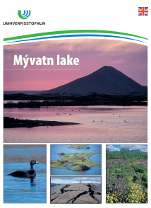 Copy of Mývatn lake english.png